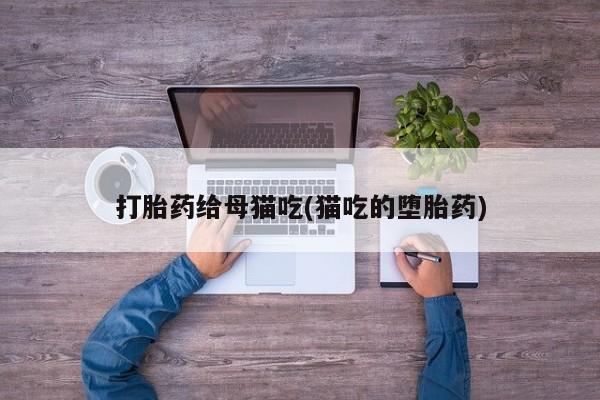 网上卖流产药联系方式，打胎药给母猫吃(猫吃的堕胎药)